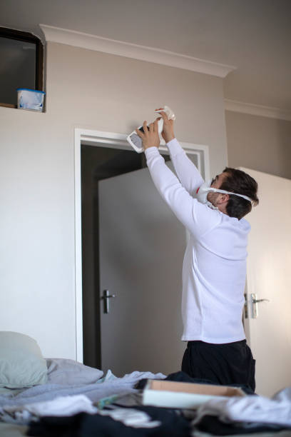 Best Mold Prevention Services  in Mauston, WI
