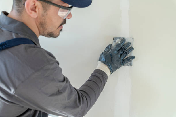 Best Attic Mold Removal  in Mauston, WI